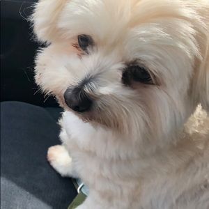 Meet your Posher, Sharonkaye